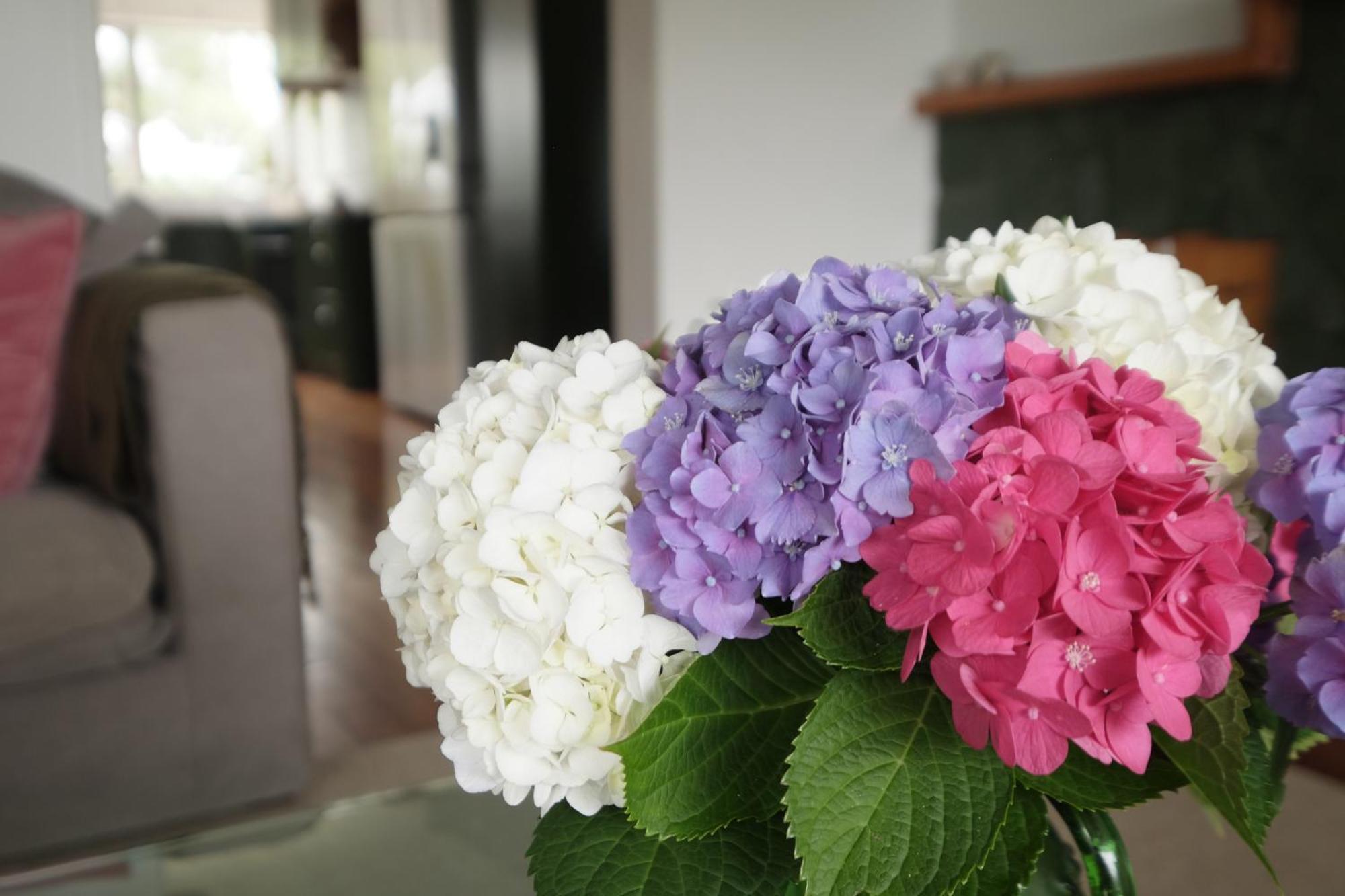 Evendale House Villa เฮสติงส์ ภายนอก รูปภาพ